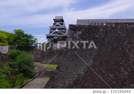 熊本城の二様の石垣と天守閣 熊本城の二様の石垣と天守閣 115193044