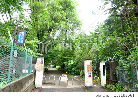 緑に囲まれた林試の森公園 115193061