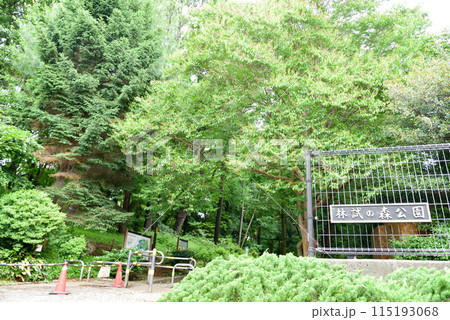 緑に囲まれた林試の森公園 緑に囲まれた林試の森公園 115193068