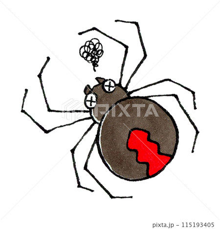 瀕死のセアカゴケグモ 115193405