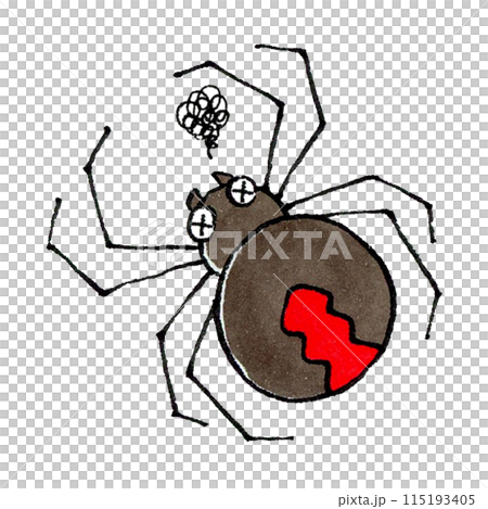 瀕死のセアカゴケグモ 115193405