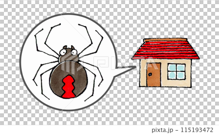 Redback spider and house 115193472
