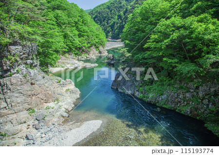 新緑の龍王峡 115193774