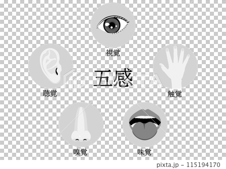 人類感官/五感的單色插圖 115194170