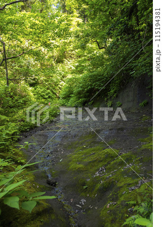 化粧坂切通し 化粧坂切通し 115194381