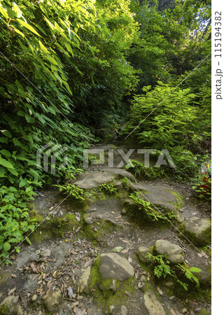 化粧坂切通し 化粧坂切通し 115194382