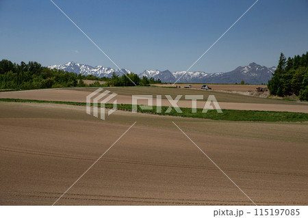 早春の丘 115197085