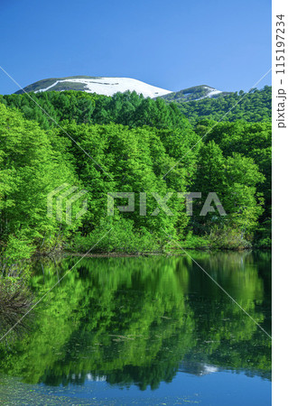 新緑の月山地蔵沼 115197234