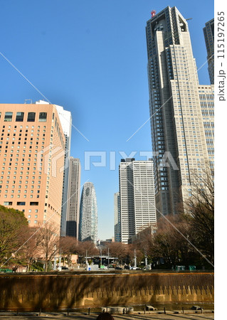 新宿中央公園から見た都庁舎 新宿中央公園から見た都庁舎 115197265