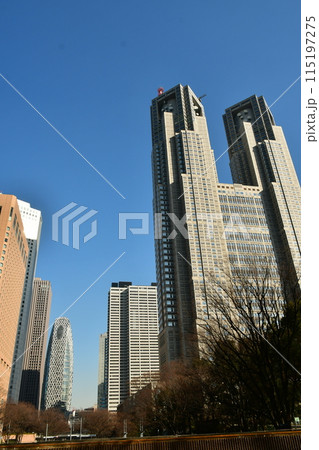 新宿中央公園からの新宿西口方面の眺め 115197275