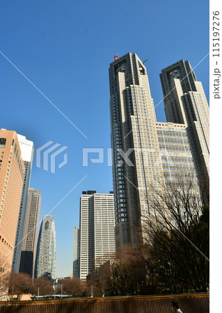 新宿中央公園からの新宿西口方面の眺め 新宿中央公園からの新宿西口方面の眺め 115197276