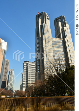 新宿中央公園からの新宿西口方面の眺め 新宿中央公園からの新宿西口方面の眺め 115197280