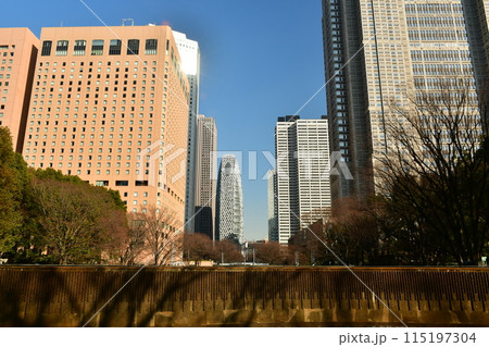 新宿中央公園からの新宿西口方面の眺め 115197304
