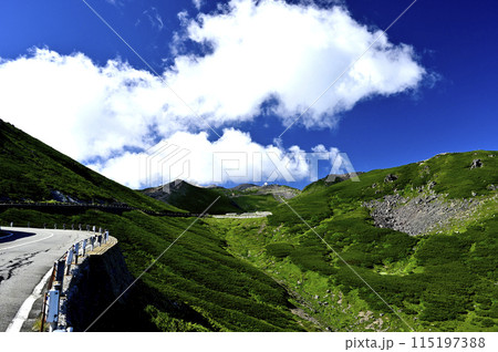 夏の乗鞍スカイラインから見た風景(撮影地:乗鞍スカイライン) 夏の乗鞍スカイラインから見た風景(撮影地:乗鞍スカイライン) 115197388
