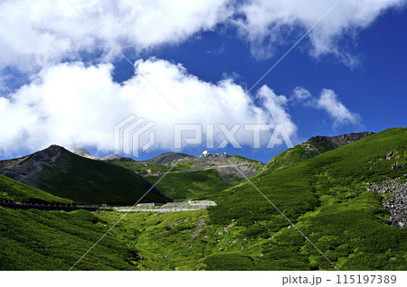 夏の乗鞍スカイラインから見た風景（撮影地：乗鞍スカイライン） 115197389