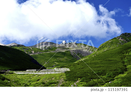 夏の乗鞍スカイラインから見た風景(撮影地:乗鞍スカイライン) 夏の乗鞍スカイラインから見た風景(撮影地:乗鞍スカイライン) 115197391