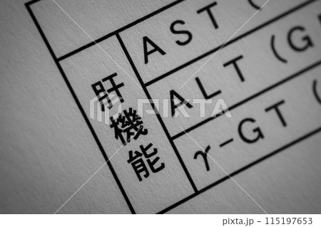 肝機能 肝機能 115197653