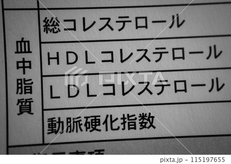 血中脂質 115197655