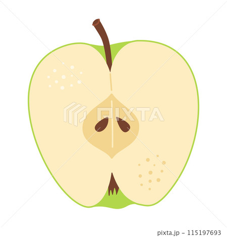 Green apple cut in half. Hand drawn Trendy flat style 115197693