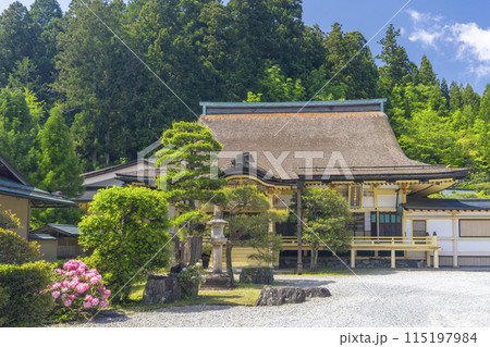 高野山別格本山　西南院　本堂としゃくなげの花 115197984