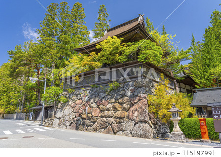 高野山　壇上伽藍　六時の鐘　えにしだ(金雀枝)が咲き誇る 115197991