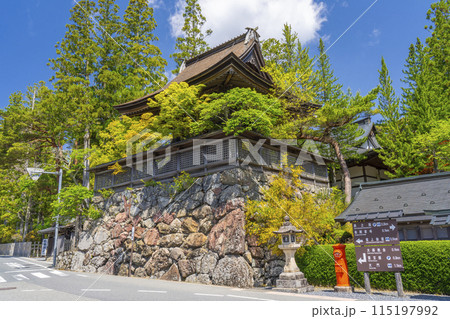 高野山 壇上伽藍 六時の鐘 えにしだ(金雀枝)が咲き誇る 高野山 壇上伽藍 六時の鐘 えにしだ(金雀枝)が咲き誇る 115197992