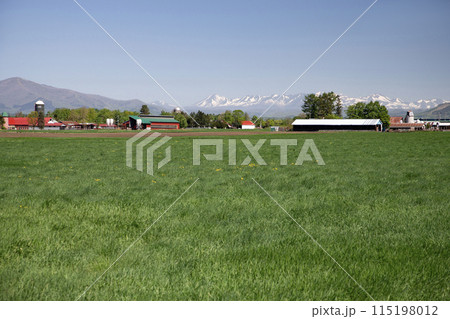 十勝平野の牧場 115198012