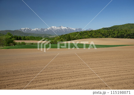 早春の大地 115198071