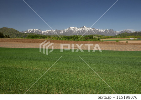 早春の大地 115198076