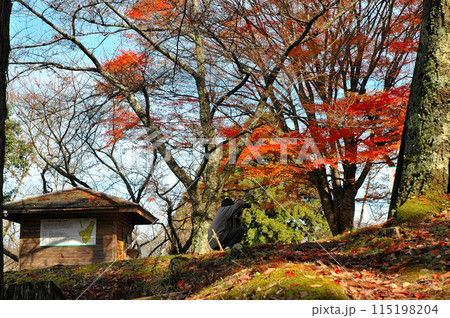 鳥取県若桜町、秋の鬼ケ城城址です。 115198204