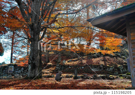 鳥取県若桜町、秋の鬼ケ城城址です。 115198205