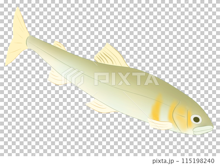 阿玉 阿玉 115198240