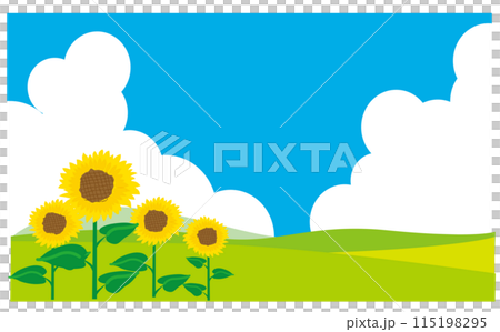 Sunflower and fresh grassland illustration background 115198295