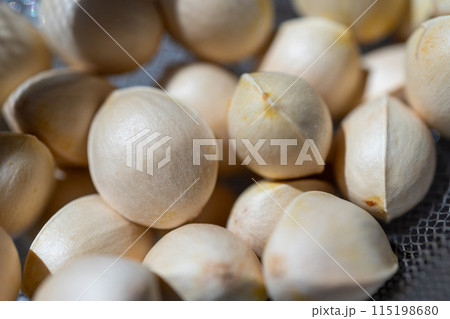 生のぎんなん 115198680