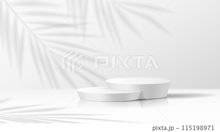 Mockup stage with palm shadow realistic vector illustration 115198971