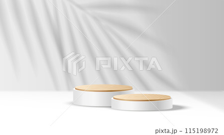 Mockup stage with palm shadow realistic vector illustration 115198972