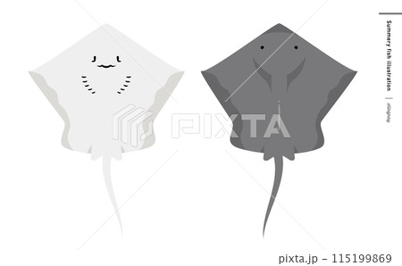 エイ(えい)の顔を表・裏側を描いた魚類のイラスト:かわいい海洋生物 エイ(えい)の顔を表・裏側を描いた魚類のイラスト:かわいい海洋生物 115199869