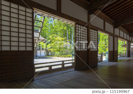 高野山金剛峯寺 主殿 大広間から見える風景 高野山金剛峯寺 主殿 大広間から見える風景 115199967