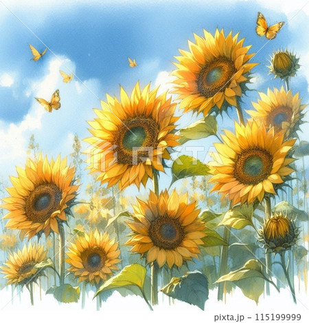 大きなひまわり 大きなひまわり 115199999