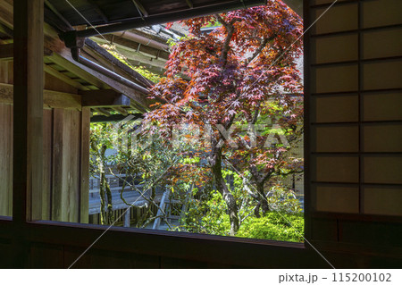 高野山金剛峯寺　奥書院前の中庭 115200102