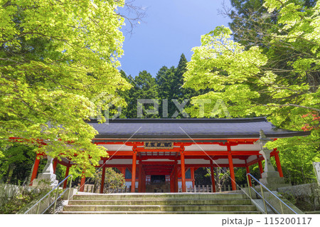 高野山奥の院　青もみじに包まれる英霊殿 115200117