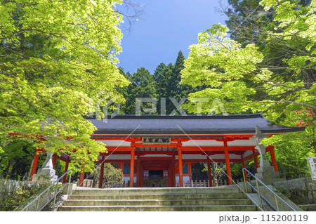 高野山奥の院 青もみじに包まれる英霊殿 高野山奥の院 青もみじに包まれる英霊殿 115200119