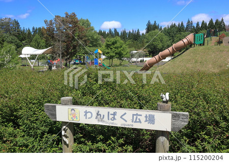 秋田県立北欧の杜公園のわんぱく広場 115200204