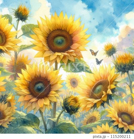 大きなひまわりの水彩イラスト 115200211