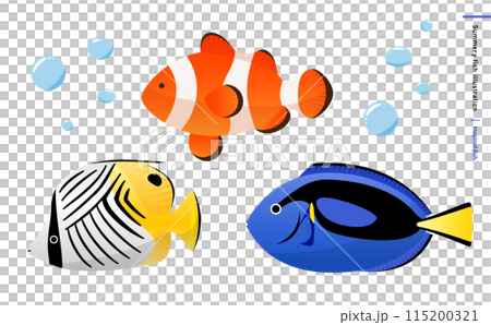 現實的熱帶魚和鹹水魚插圖集小丑魚（小丑魚）、小丑魚和蝴蝶魚。 115200321