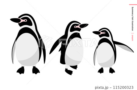 動物園や水族館のシンプルで可愛い白黒のペンギン親子の夏らしいベクターイラスト 115200323