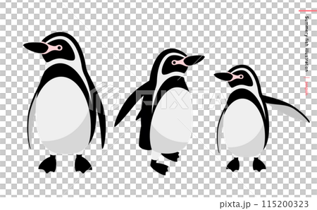 動物園や水族館のシンプルで可愛い白黒のペンギン親子の夏らしいベクターイラスト 115200323