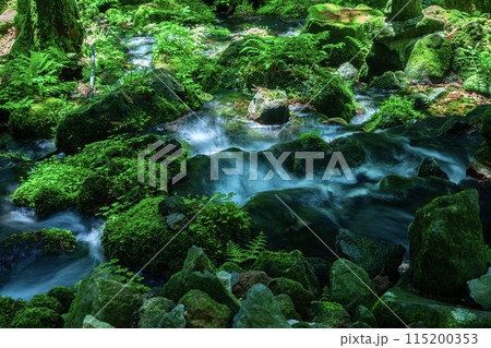 胴腹滝 胴腹滝 115200353