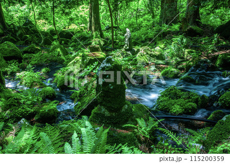 胴腹滝 胴腹滝 115200359