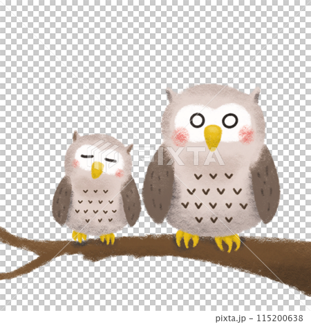 貓頭鷹的手繪插圖 115200638